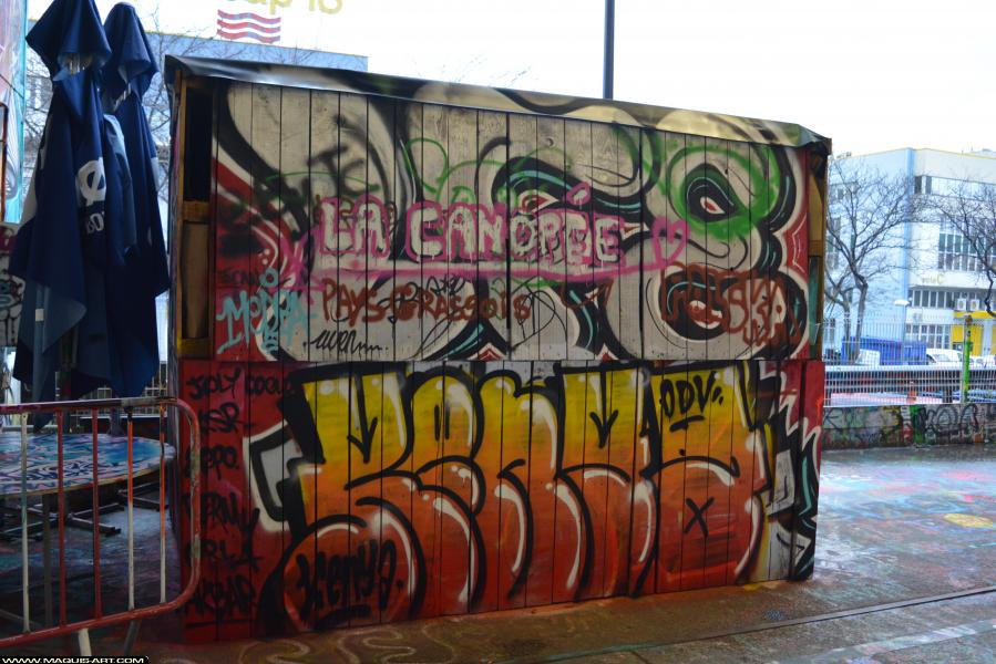 Graffiti de Kenya à L'Aérosol Paris (3 février 2018)