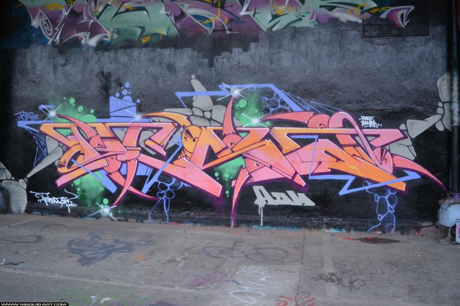 Graffiti de Pesa à L'Aérosol Paris (4 février 2018)