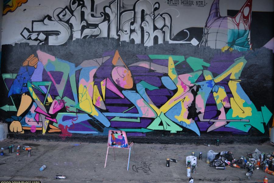 Graffiti de Diksa à L'Aérosol Paris (3 février 2018)