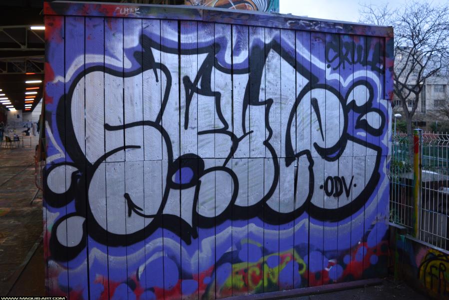 Graffiti de Skule à L'Aérosol Paris (3 février 2018)