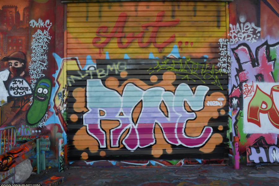 Neri - Artiste Graffiti au Wall of Fame L'Aérosol