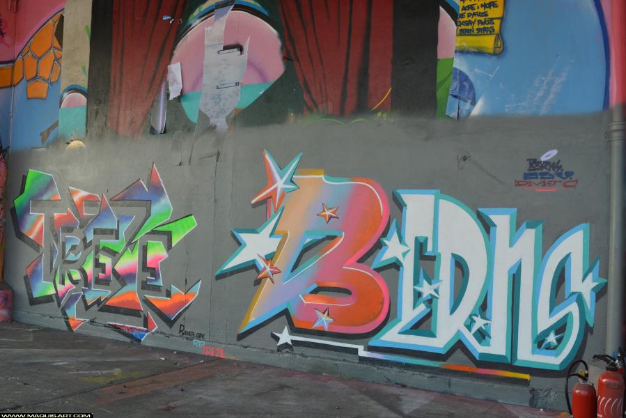 Graffiti de Rever et Berns à L'Aérosol Paris (10 février 2018)