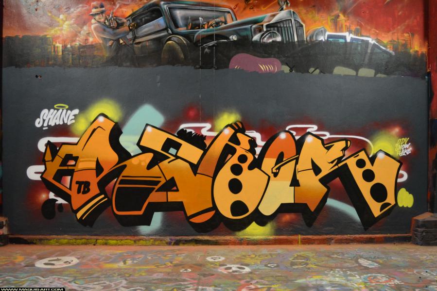 Graffiti de Shane à L'Aérosol Paris (10 février 2018)
