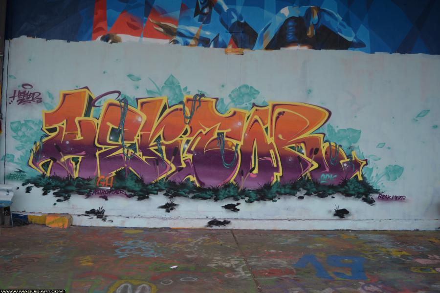 Graffiti de Torek à L'Aérosol Paris (11 février 2018)