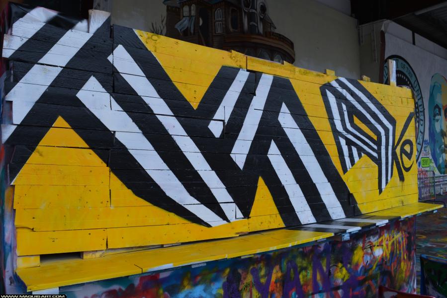 Graffiti de Make à L'Aérosol Paris (15 février 2018)