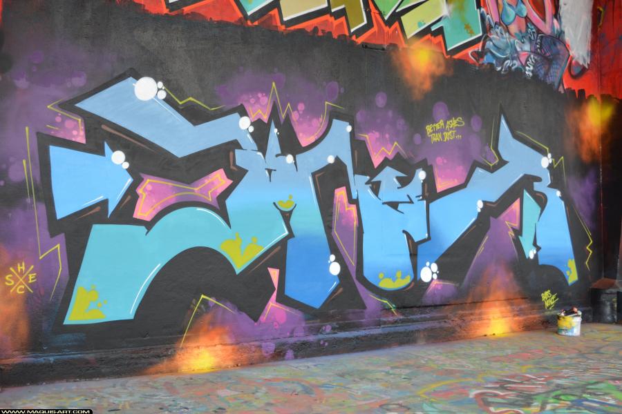 Graffiti de Bomer à L'Aérosol Paris (15 février 2018)