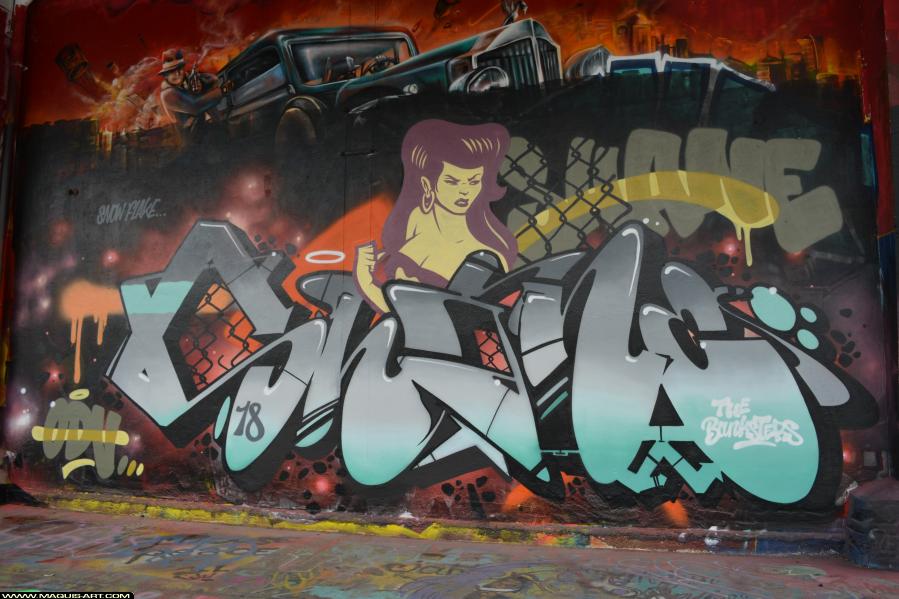 Graffiti de Shane à L'Aérosol Paris (15 février 2018)