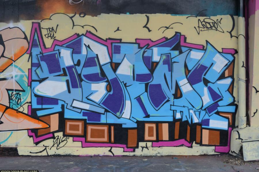 Graffiti d'Agomer à L'Aérosol Paris (17 février 2018)
