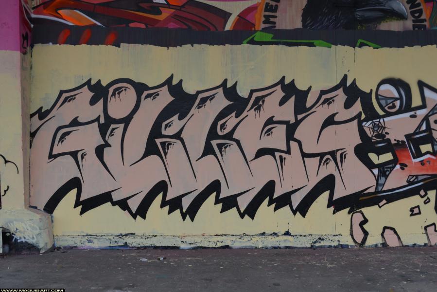 Graffiti de Gilles à L'Aérosol Paris (17 février 2018)