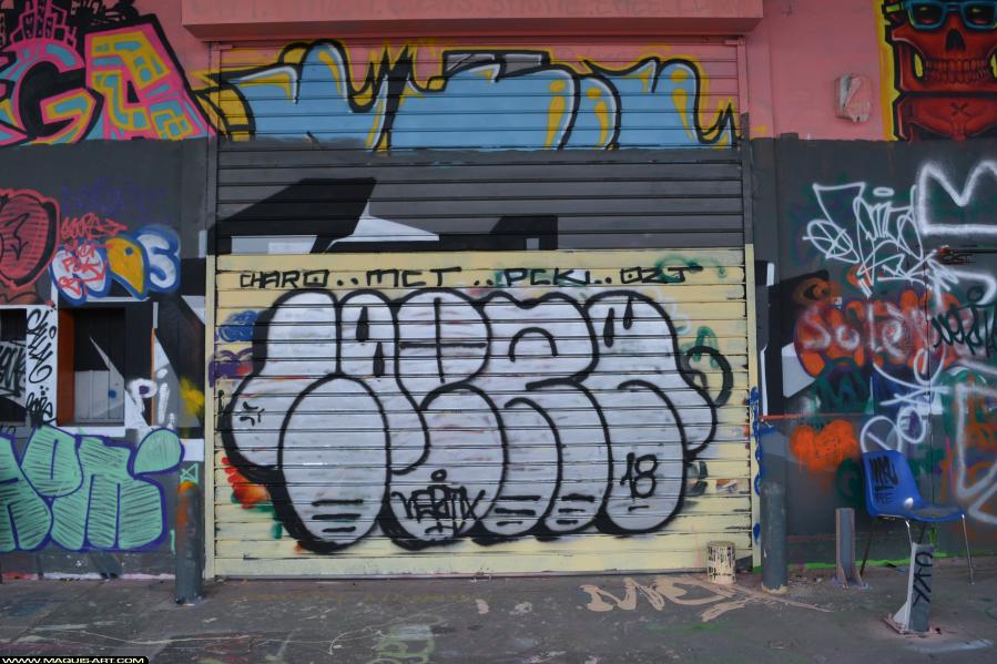 Graffiti de ??? à L'Aérosol Paris (17 février 2018)