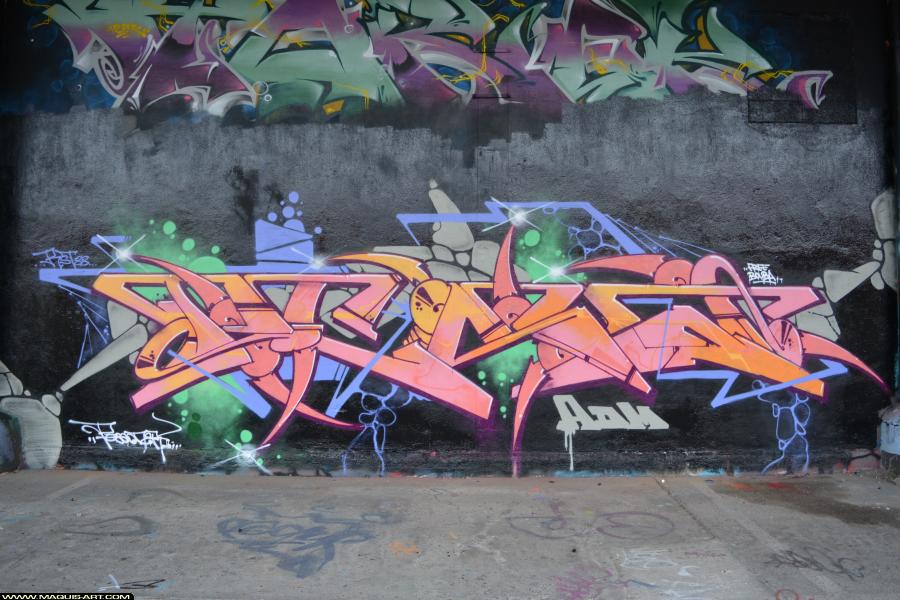 Graffiti de Pesa à L'Aérosol Paris (17 février 2018)