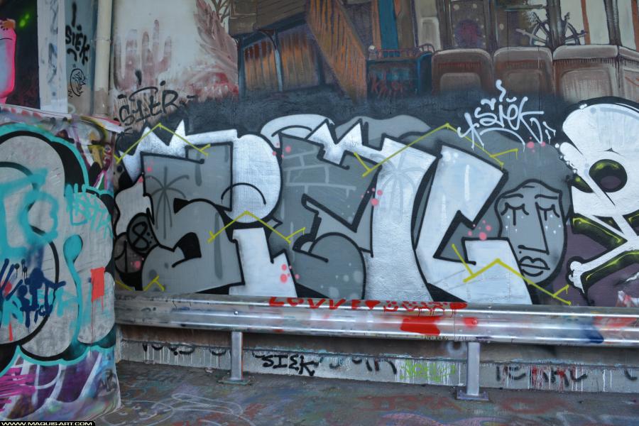 Graffiti de Siek à L'Aérosol Paris (17 février 2018)