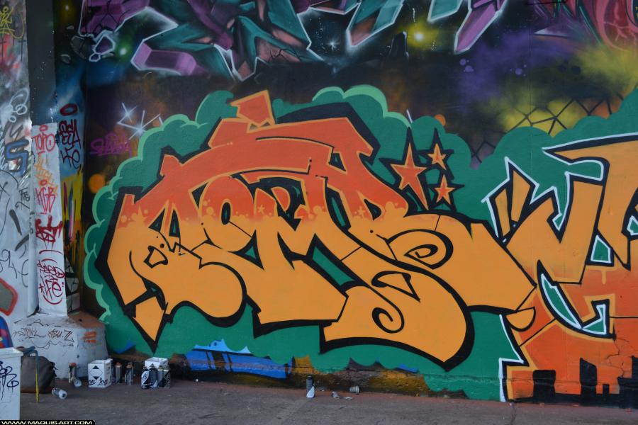 Graffiti de Tomb à L'Aérosol Paris (17 février 2018)