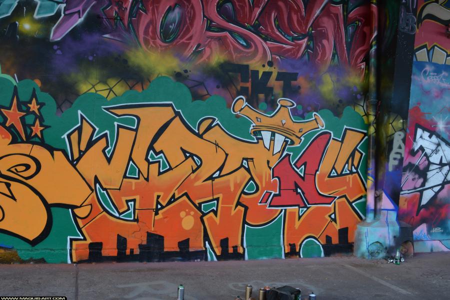 Graffiti de ??? à L'Aérosol Paris (17 février 2018)