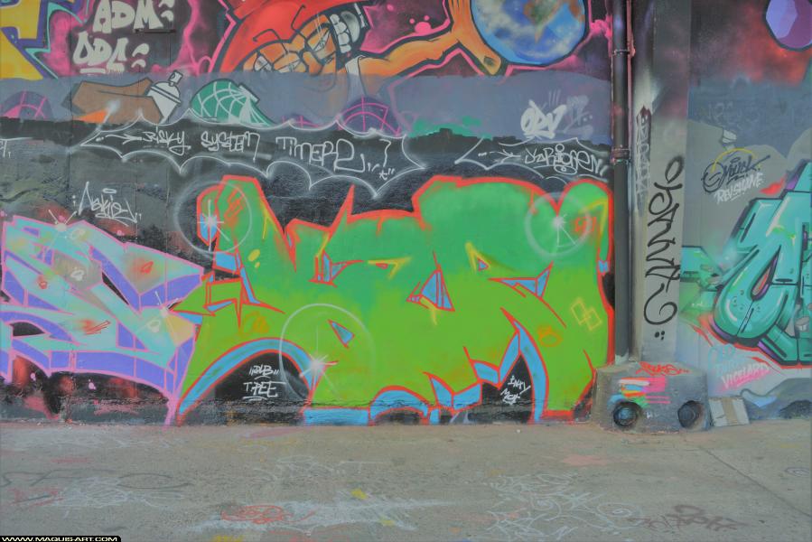 Graffiti de Kari à L'Aérosol Paris (18 février 2018)