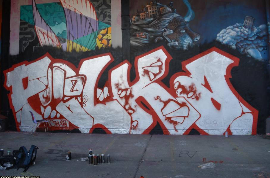 Graffiti de Polka à L'Aérosol Paris (24 février 2018)