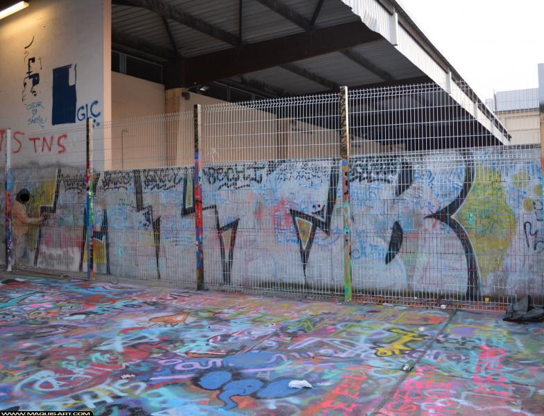 Graffiti à L'Aérosol Paris (24 février 2018)