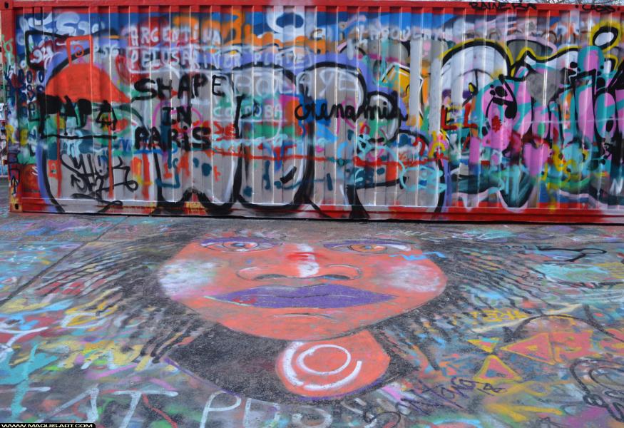 Graffiti de ??? à L'Aérosol Paris (24 février 2018)