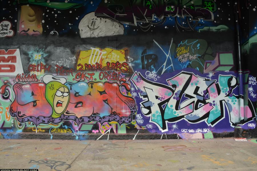 Graffiti de Plek et Yosh à L'Aérosol Paris (24 février 2018)