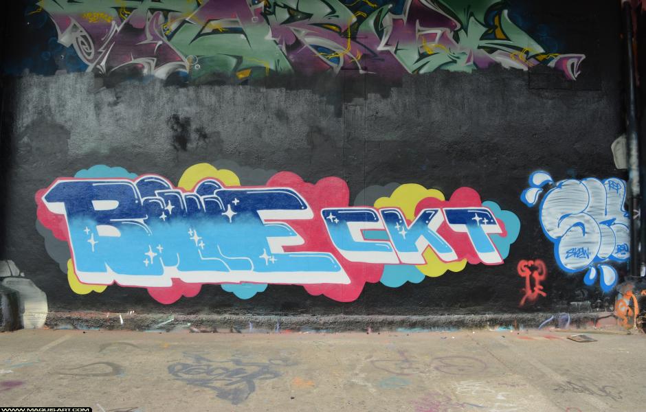 Graffiti de Billie à L'Aérosol Paris (24 février 2018)