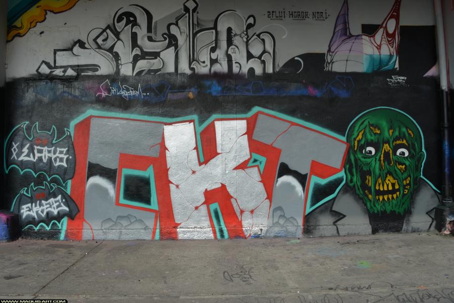 Graffiti de Lars et Ekee à L'Aérosol Paris (24 février 2018)