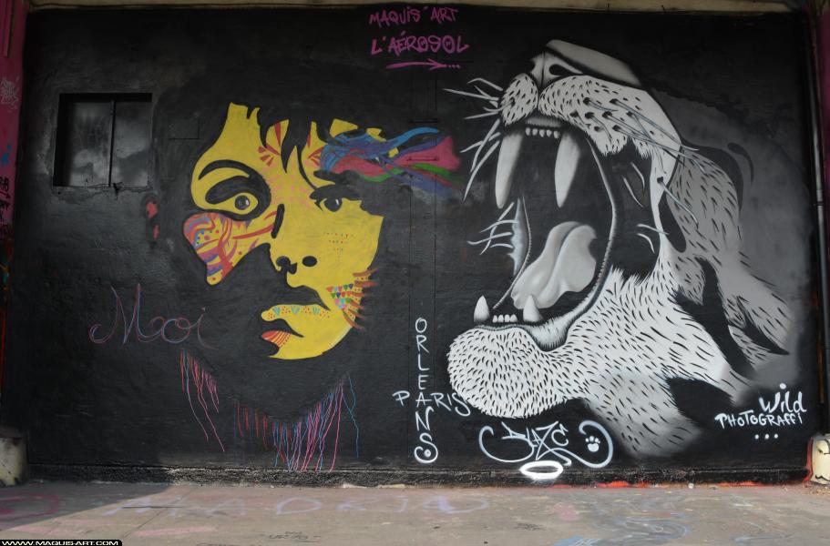 Graffiti à L'Aérosol Paris (24 février 2018)