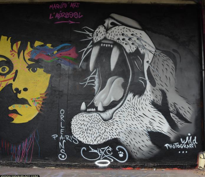 Graffiti à L'Aérosol Paris (24 février 2018)