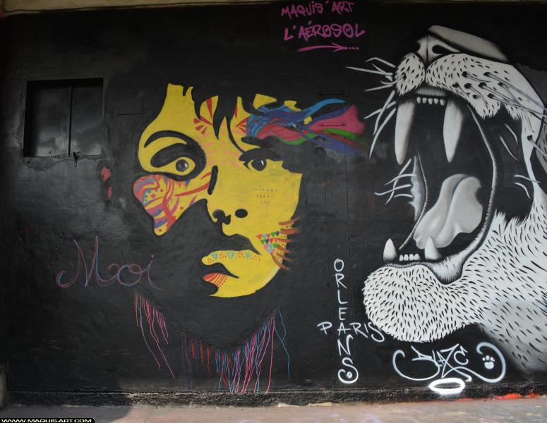 Graffiti à L'Aérosol Paris (24 février 2018)