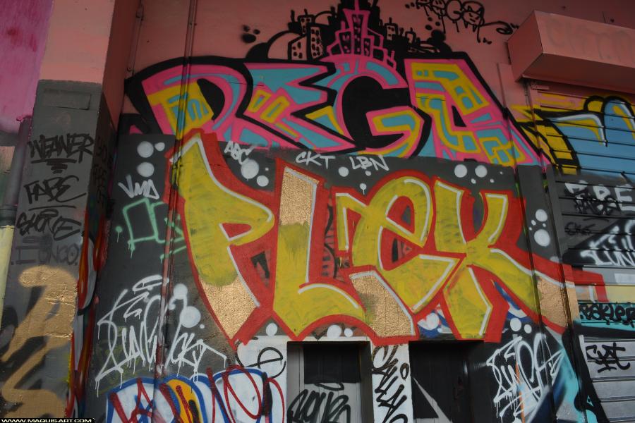 Graffiti de Plek à L'Aérosol Paris (24 février 2018)