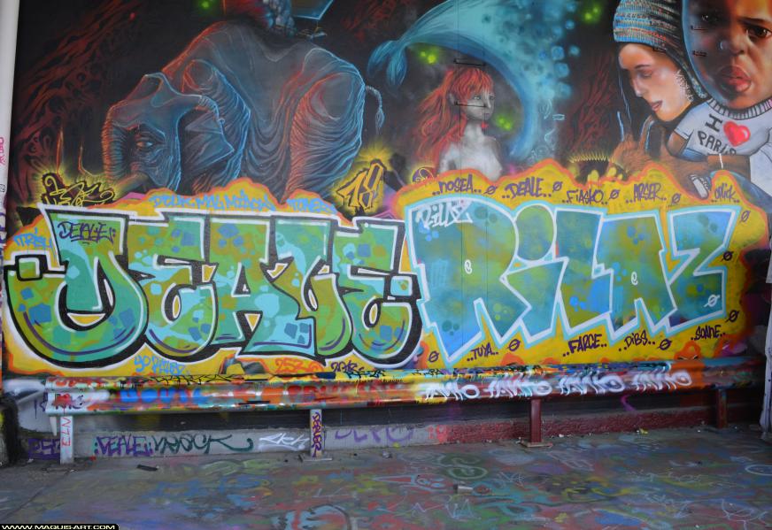 Deale - Artiste Graffiti au Wall of Fame L'Aérosol