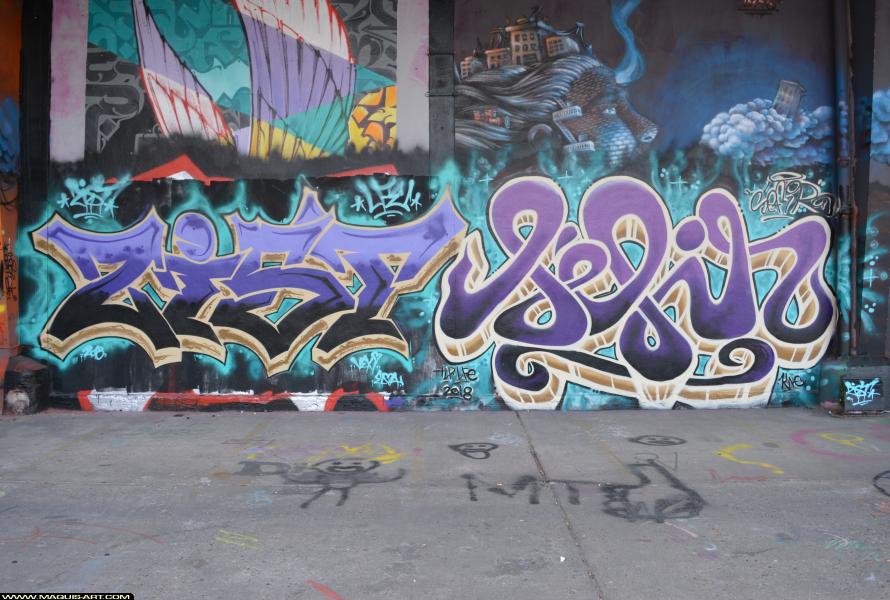 Graffiti de Sefir et Zist à L'Aérosol Paris (25 février 2018)