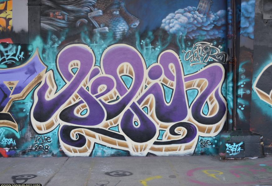 Graffiti de Sefir à L'Aérosol Paris (25 février 2018)