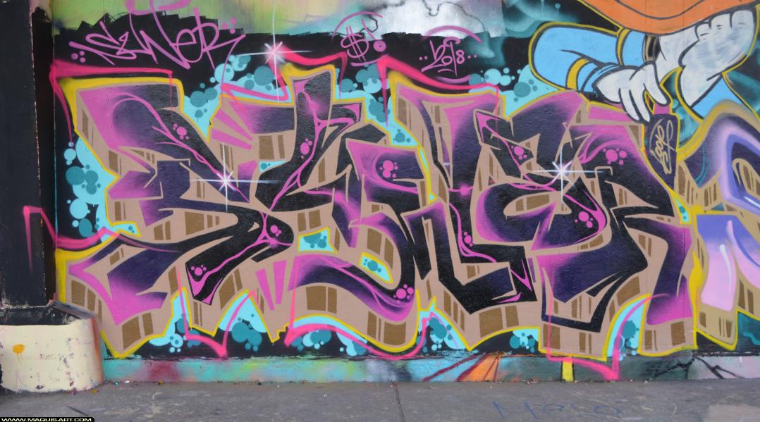 Graffiti de Suner à L'Aérosol Paris (25 février 2018)