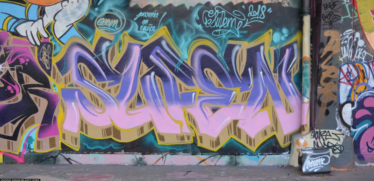 Graffiti de Sufen à L'Aérosol Paris (25 février 2018)