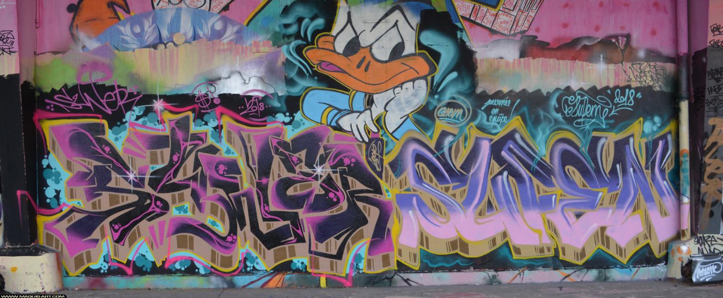 Graffiti de Suner et Sufen à L'Aérosol Paris (25 février 2018)