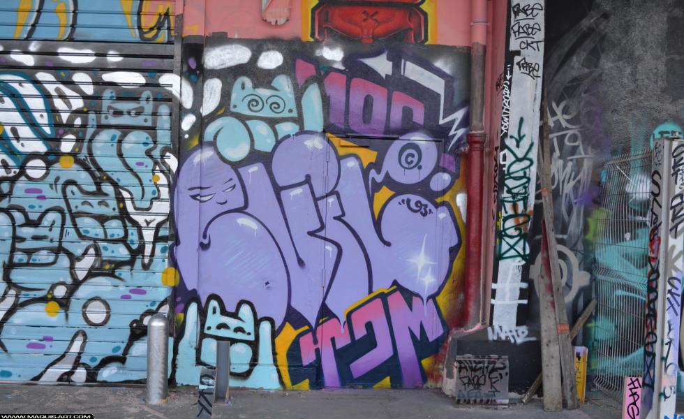 Graffiti à L'Aérosol Paris (25 février 2018)