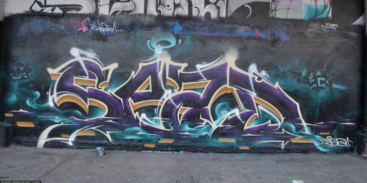 Sead - Artiste Graffiti au Wall of Fame L'Aérosol