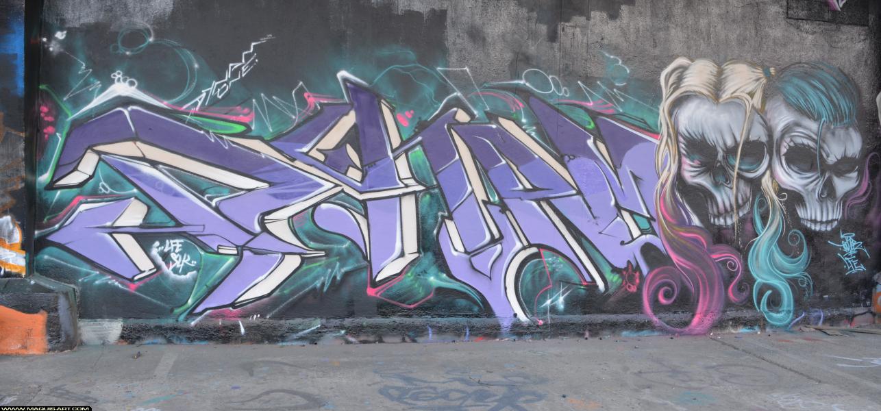 Dynam - Artiste Graffiti au Wall of Fame L'Aérosol