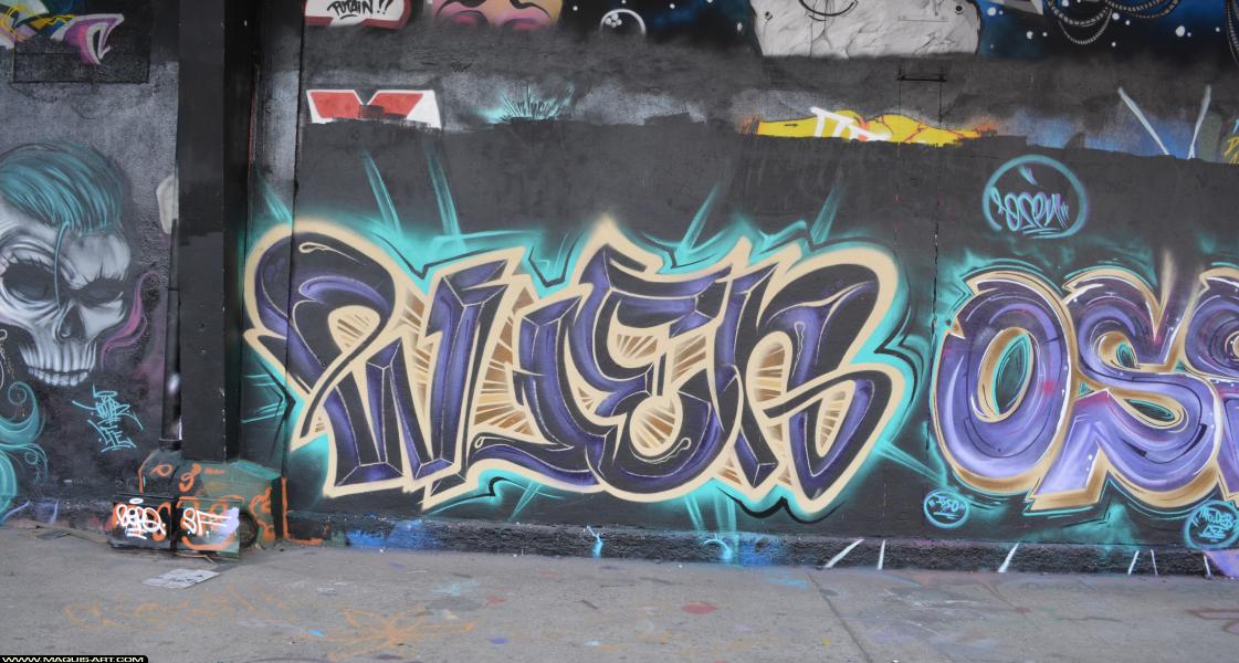 Graffiti de Wuen à L'Aérosol Paris (25 février 2018)