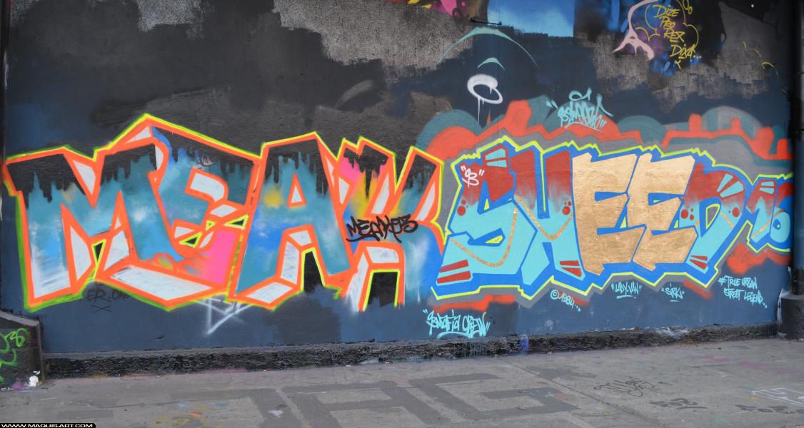 Graffiti de Sheed16 et Meak93 à L'Aérosol Paris (25 février 2018)