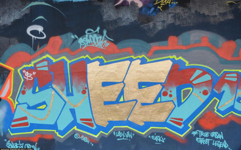 Graffiti de Sheed16 à L'Aérosol Paris (25 février 2018)