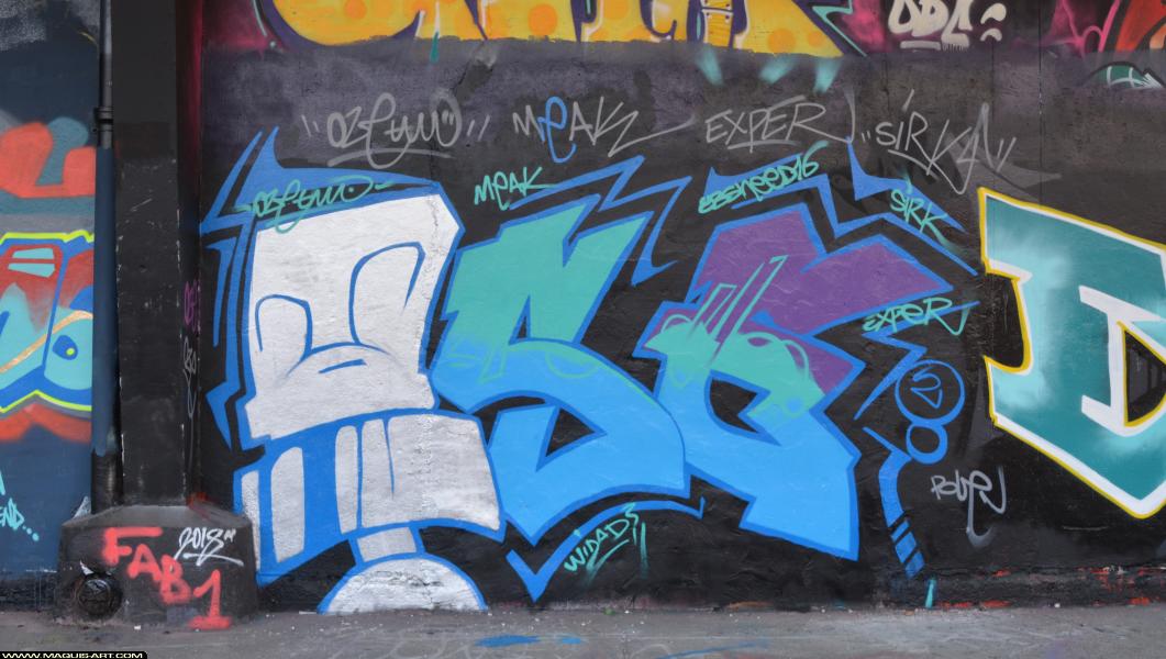Graffiti d'Oze à L'Aérosol Paris (25 février 2018)
