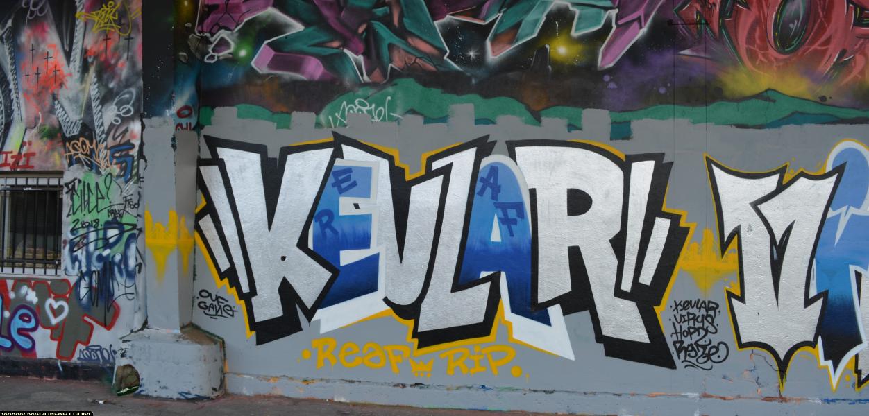 Graffiti de Kevlar à L'Aérosol Paris (25 février 2018)
