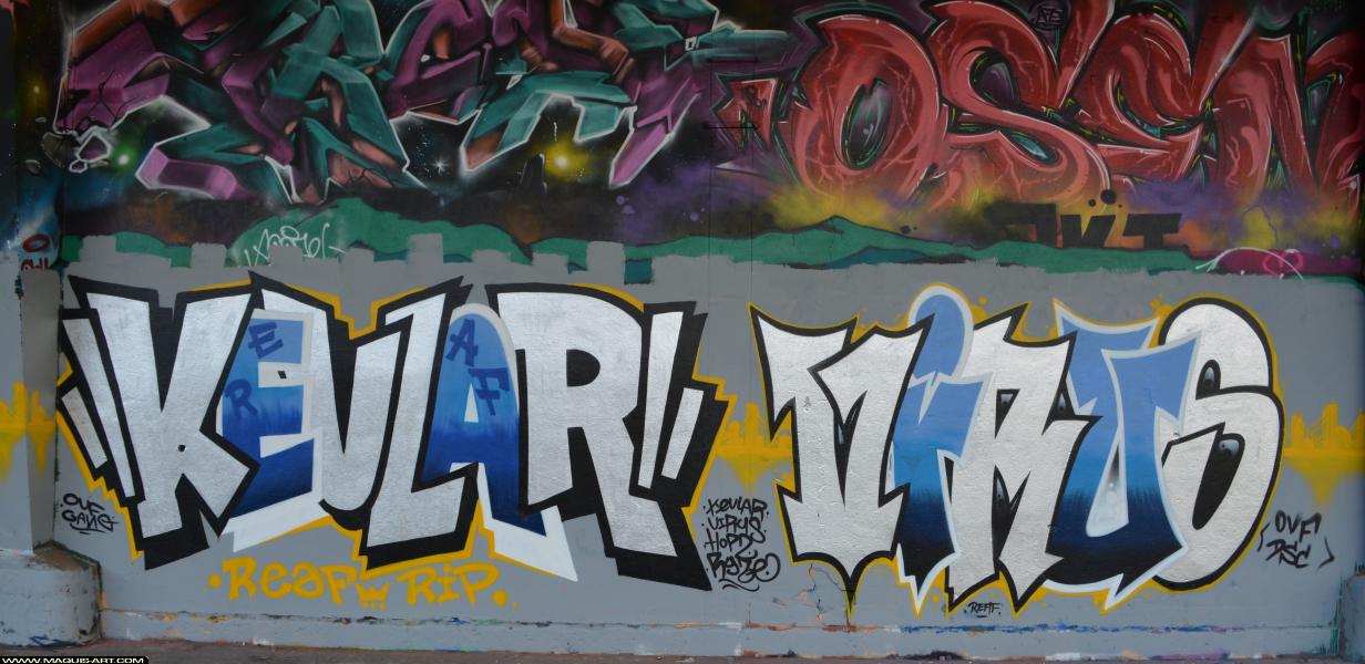 Graffiti de Virus et Kevlar à L'Aérosol Paris (25 février 2018)