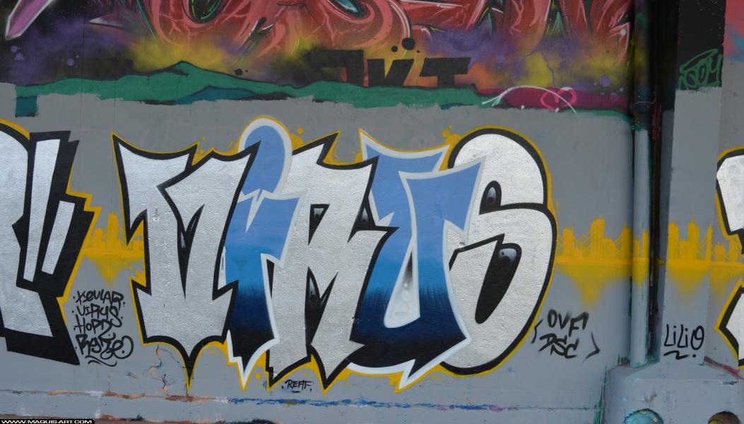 Graffiti de Virus à L'Aérosol Paris (25 février 2018)