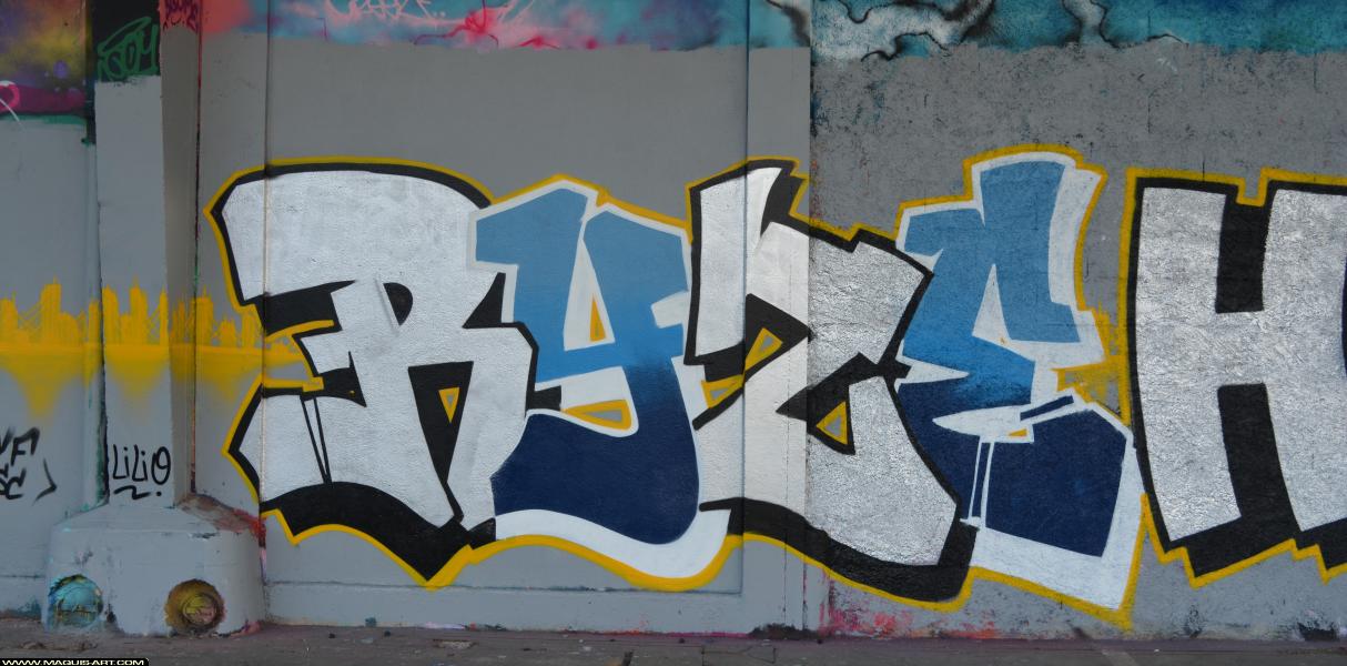 Graffiti de Ryze à L'Aérosol Paris (25 février 2018)