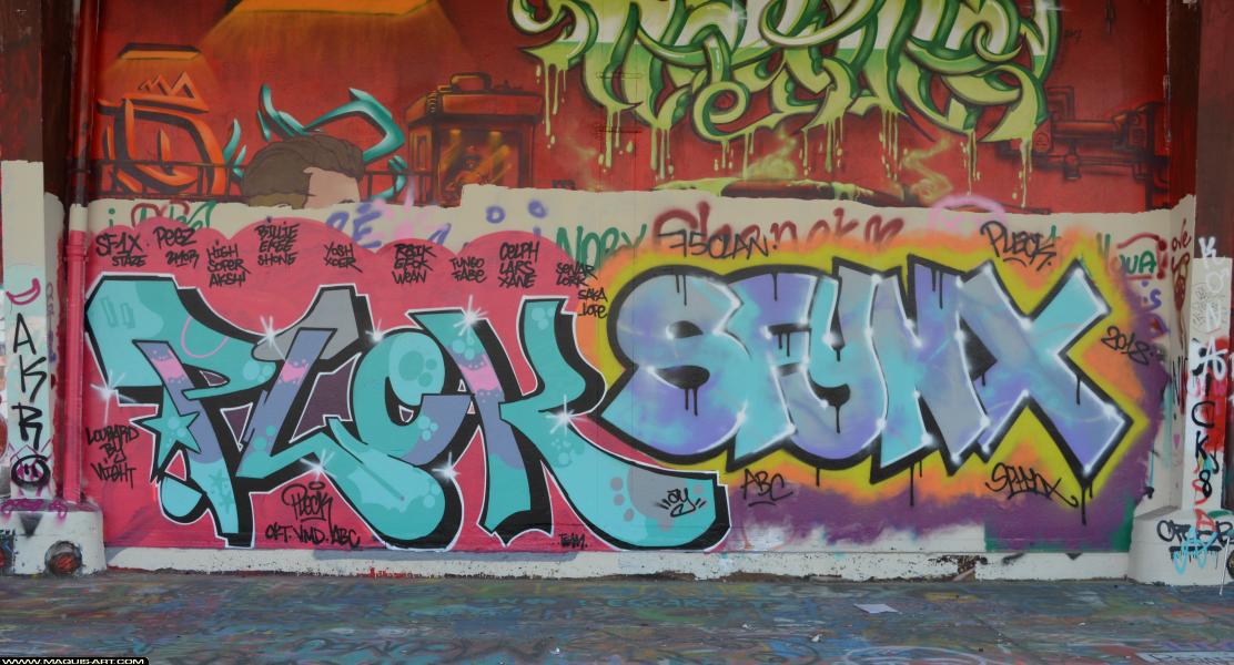 Graffiti de Plek et Sfinx à L'Aérosol Paris (25 février 2018)