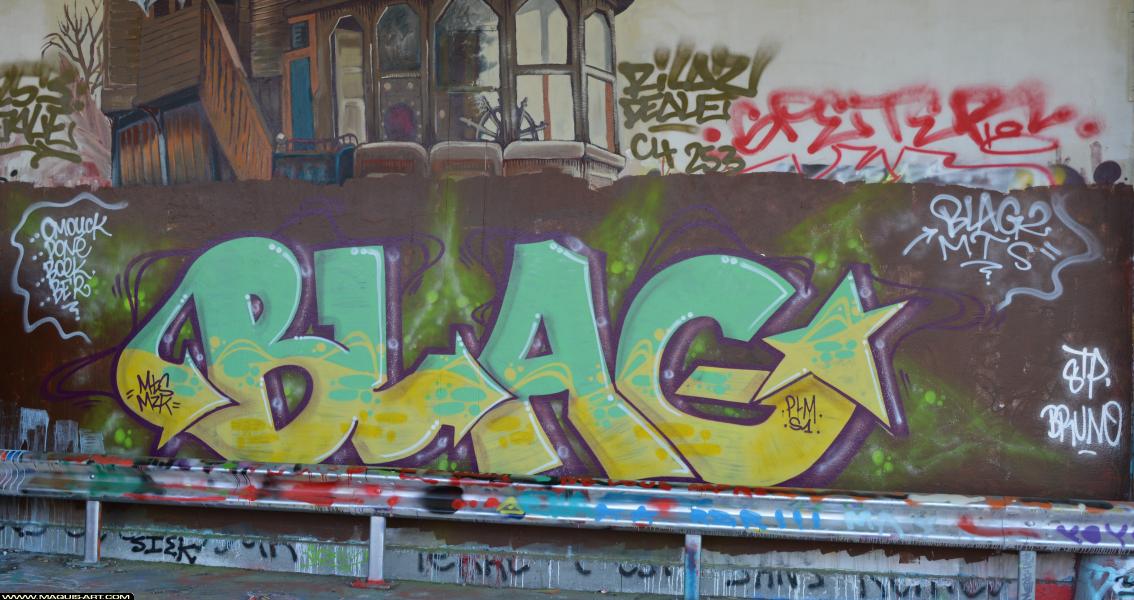 Blag - Artiste Graffiti au Wall of Fame L'Aérosol