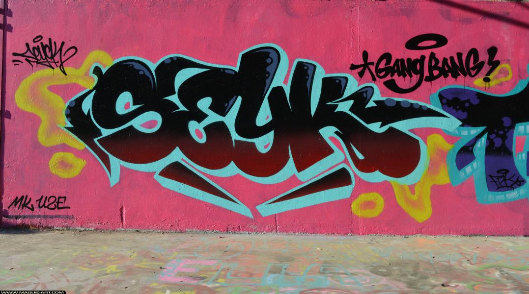 Graffiti de Seyck à L'Aérosol Paris (25 février 2018)