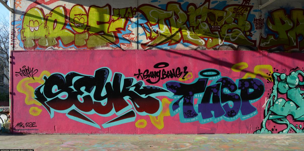 Graffiti de Seyck et Tasp à L'Aérosol Paris (25 février 2018)